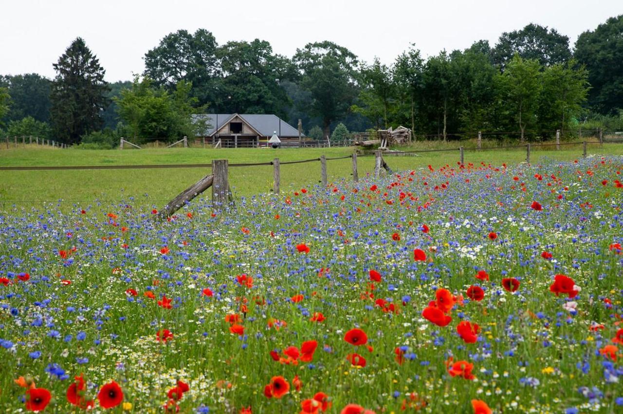 Vakantiewoning De Kei. Modern Achterhoeks Genot Villa Lichtenvoorde Bagian luar foto